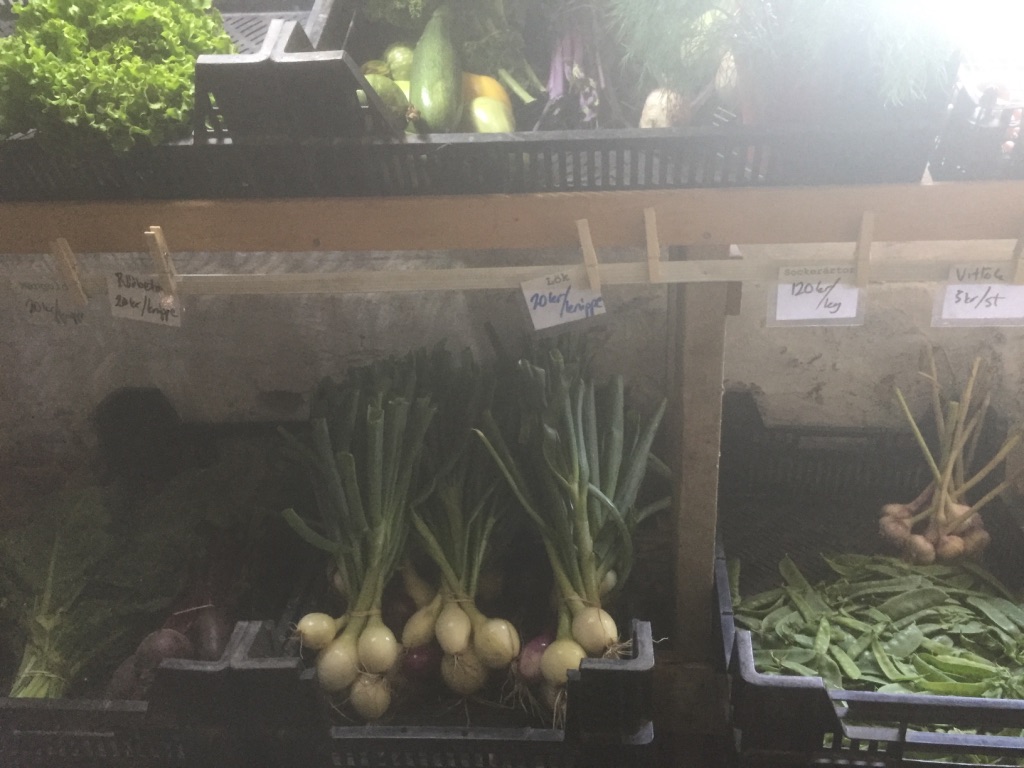 UNADJUSTEDNONRAW_thumb_74b5