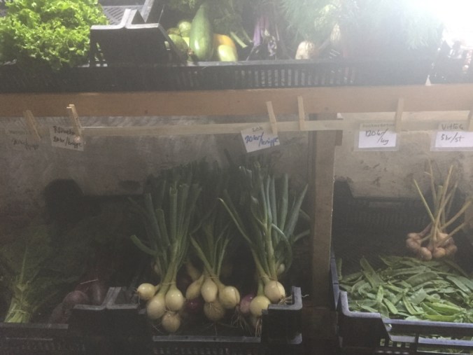 UNADJUSTEDNONRAW_thumb_74b5