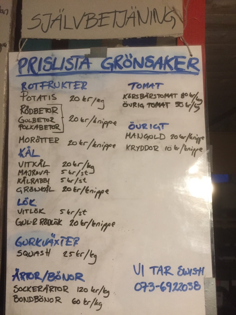 UNADJUSTEDNONRAW_thumb_74bb